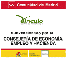 subvención Comunidad Madrid